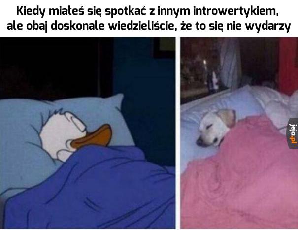 Ciekawe, który z nich pierwszy się nie pojawił
