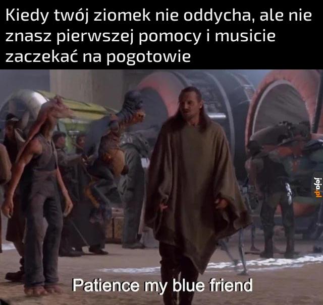 Cierpliwości mój siny druhu