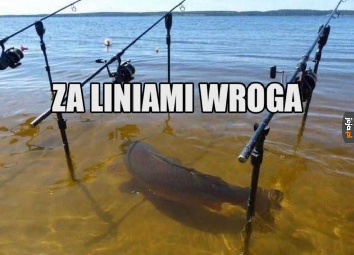 Ryzykowne zwiady
