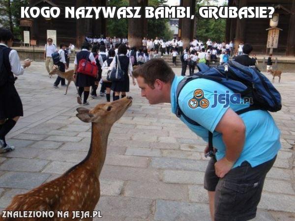 Kogo nazywasz Bambi, grubasie?