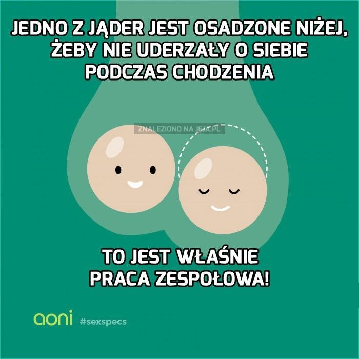 Ciekawostka jajeczna