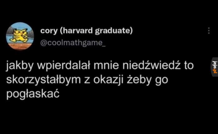 Zawsze chciałem to zrobić
