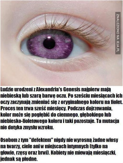 Choroba fioletowych oczu -  Alexandria Genesis