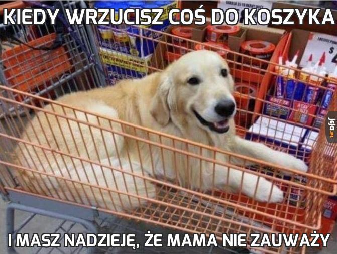 Kiedy wrzucisz coś do koszyka