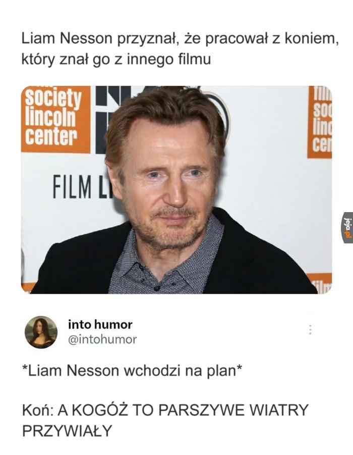 Kopę lat mordeczko