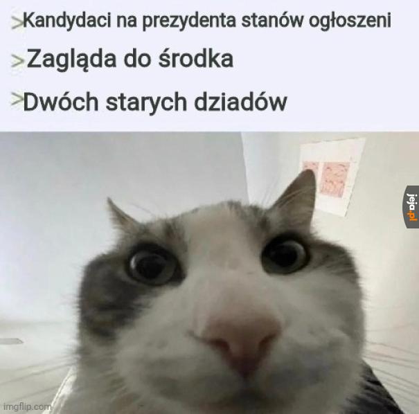 Może następnym razem nie wybiorą żywego zabytku