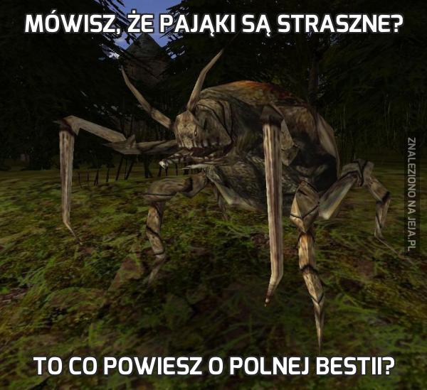 Mówisz, że pająki są straszne?