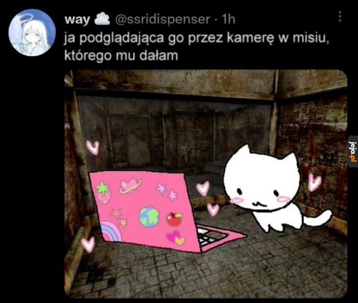 Oj tam zaraz stalkerka...