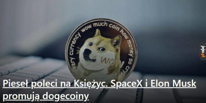 Czemu to mi się z czymś kojarzy?