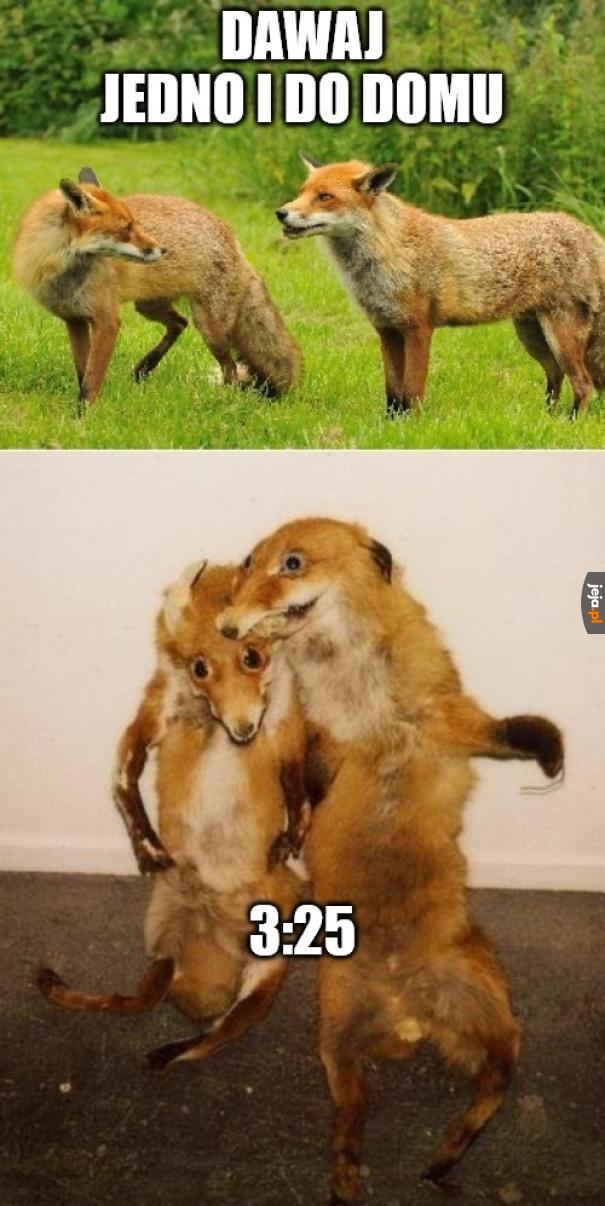 Znowu to samo