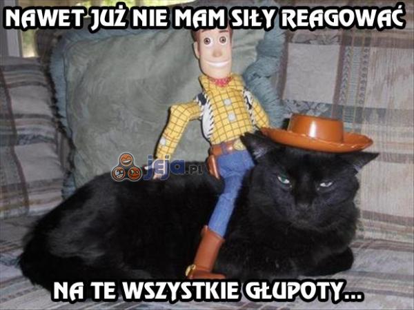 Koteł ma już dość głupich fotek