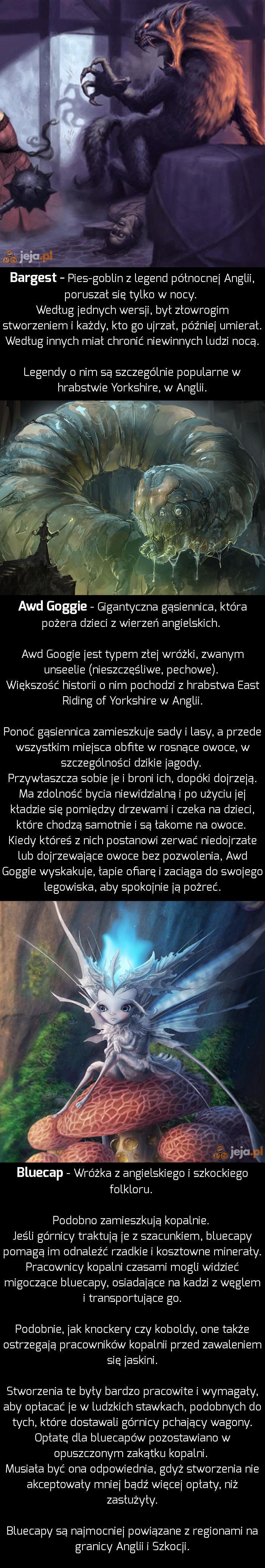 Bestiariusz Angielski