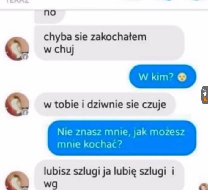 Shipuję ich