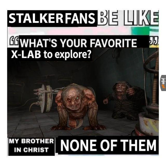 Stalker posting czy cos nwm