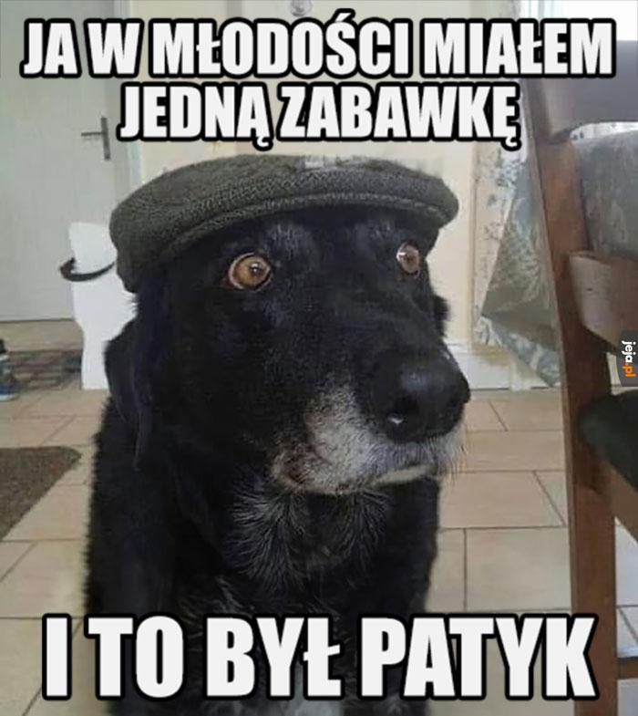 Piesek boomer