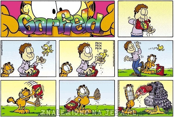 Garfield: Dokarmianie ptaków