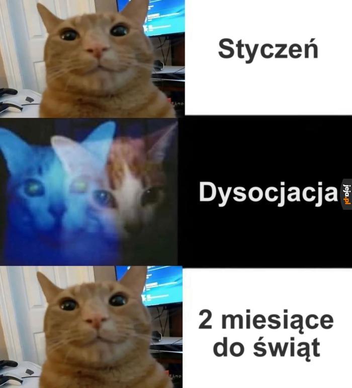 Ale leci