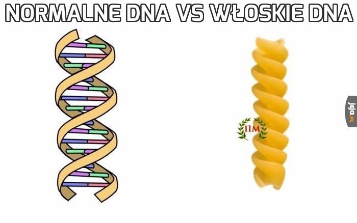 Normalne DNA vs włoskie DNA