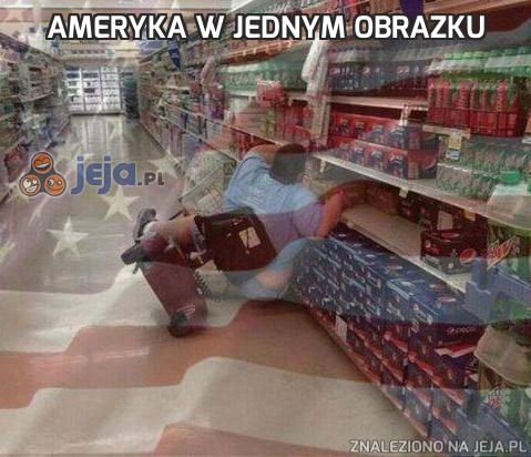 Ameryka w jednym obrazku