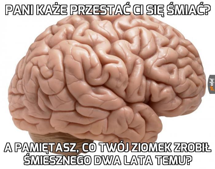 Mózgu, przestań
