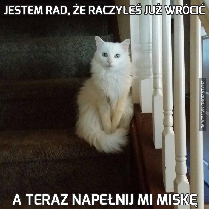 Jestem rad, że raczyłeś już wrócić
