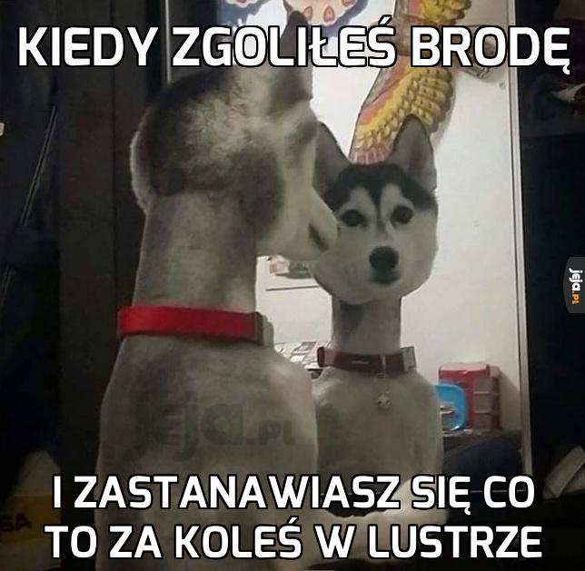 O kurde, kto to?