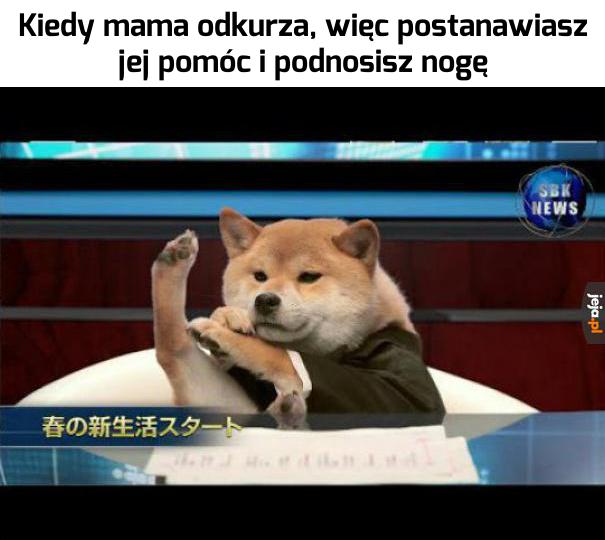 Pomoc domowa