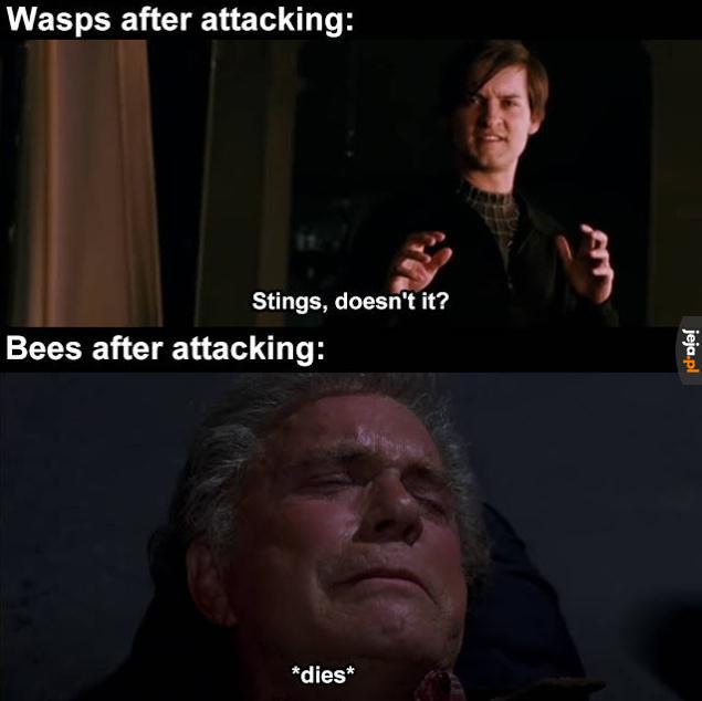 Smutny jest los pszczoły