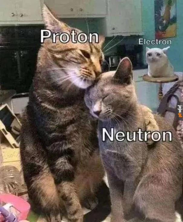Proton Neutron