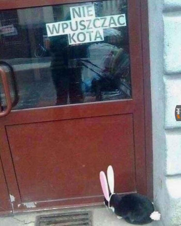 Skrót od SUS. Super Ultra Sus