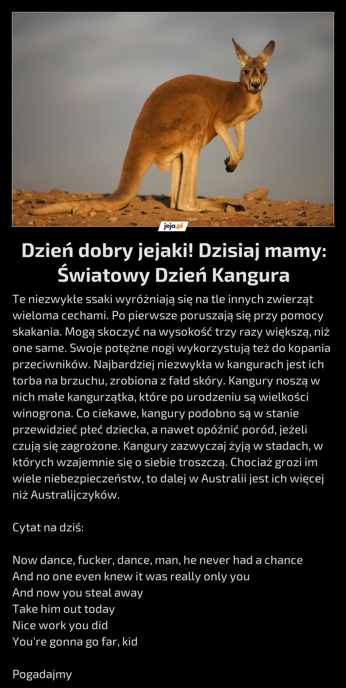 Dzień dobry jejaki! Dzisiaj mamy: Światowy Dzień Kangura
