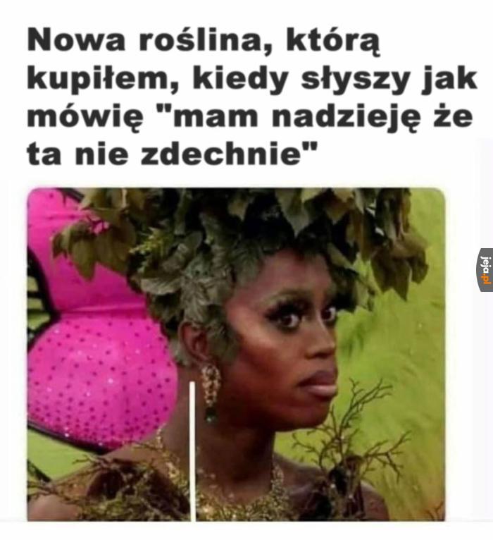 Że co?
