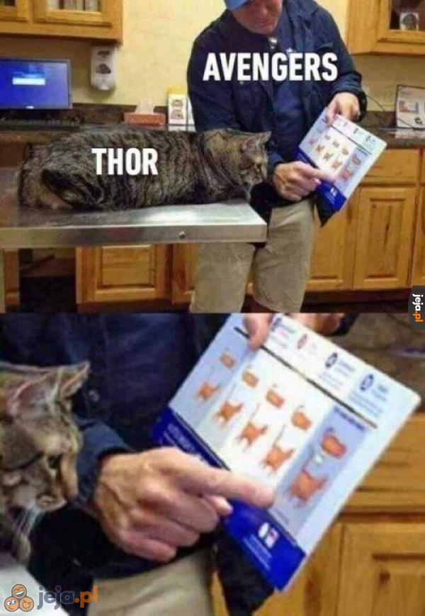 Sorry Thor, ale jesteś gruby