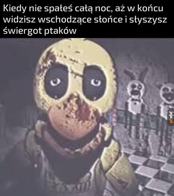Będzie trzeba odespać w dzień, o ile temperatura pozwoli