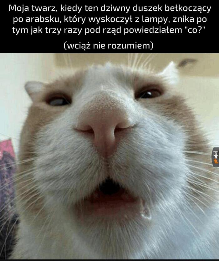 Ta oczywiście