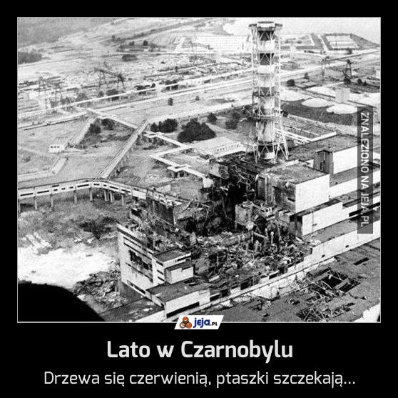 Lato w Czarnobylu