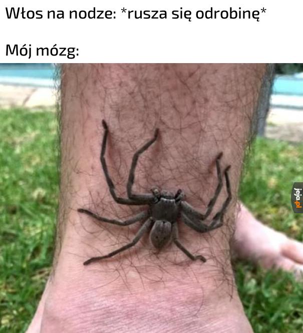Radzę zatkać uszy