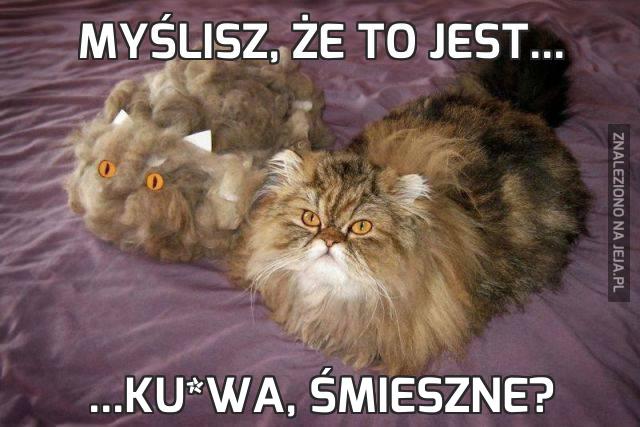 Myślisz, że to jest...
