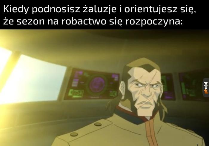 Cholerne komary...