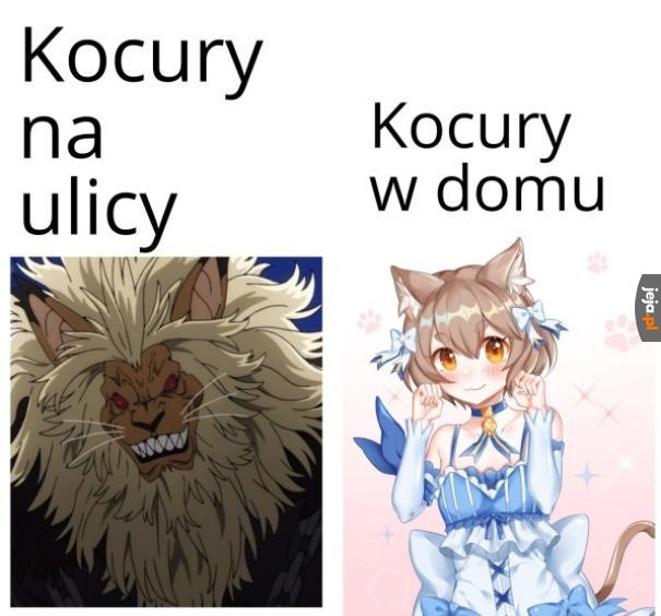 Memu