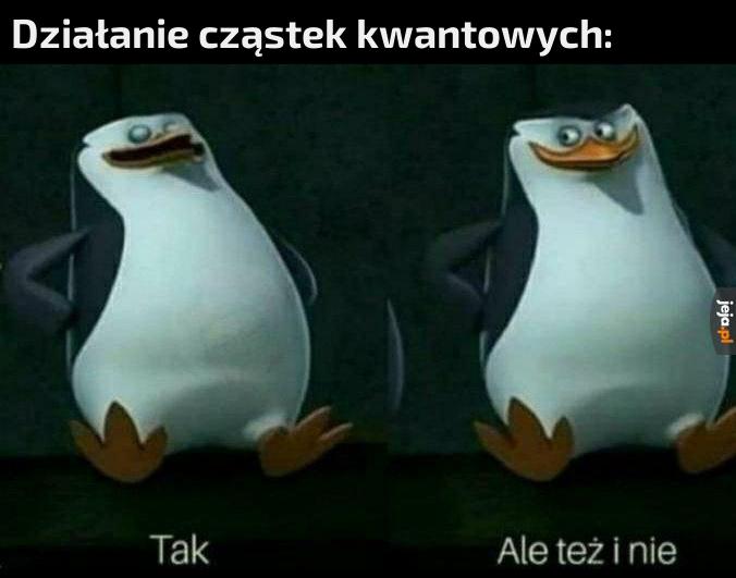 Tytuł znajduje się w superpozycji