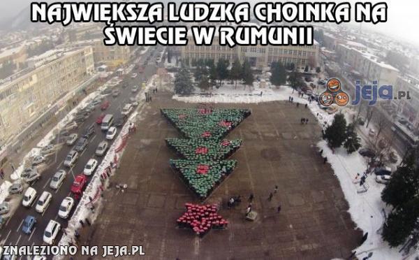 Największa ludzka choinka na świecie