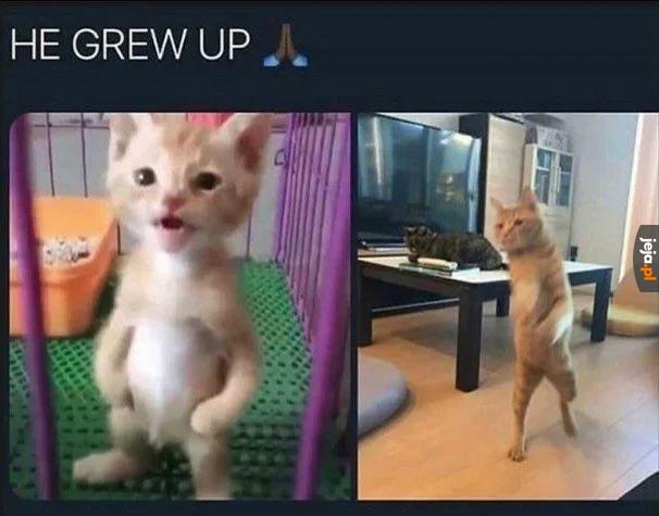 Dorósł ❤️