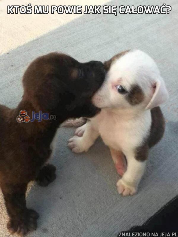 Ktoś mu powie jak się całować?