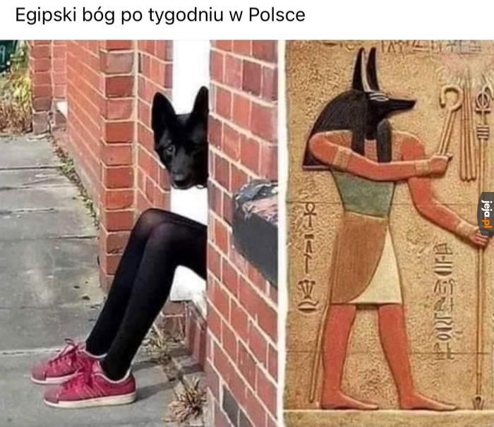 Jest już swój