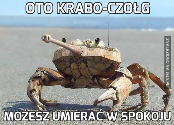 Oto krabo-czołg