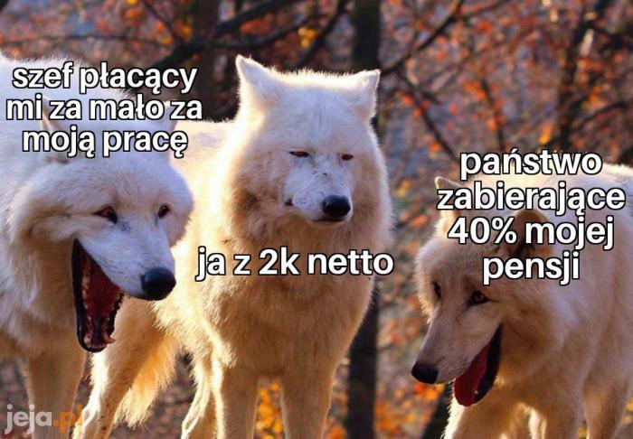 Nie wychodzę na tym najlepiej