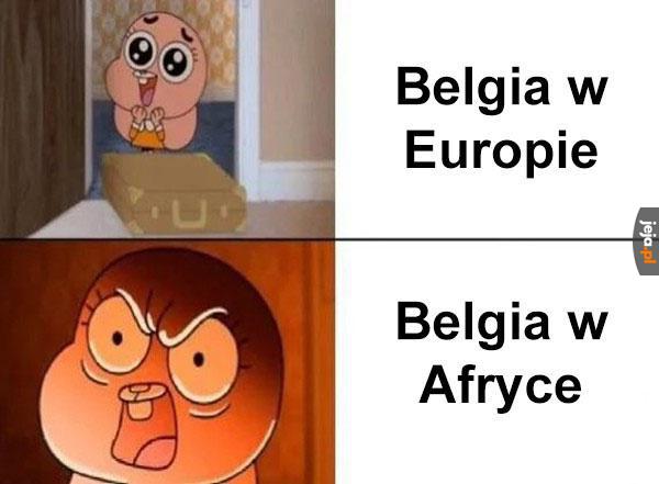 Dwie różne Belgie