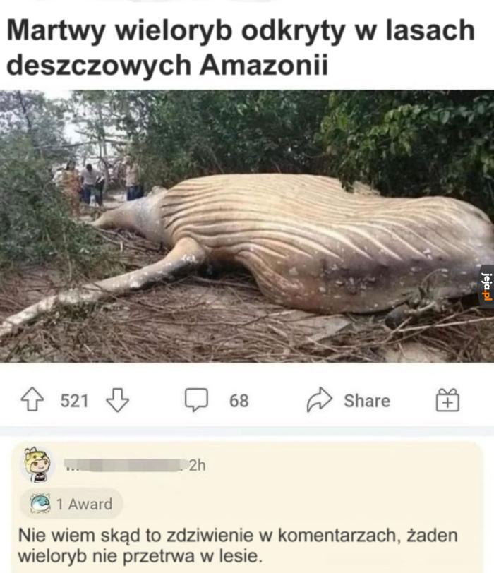 Ile tam tego deszczu napada, on potrzebuje więcej wody