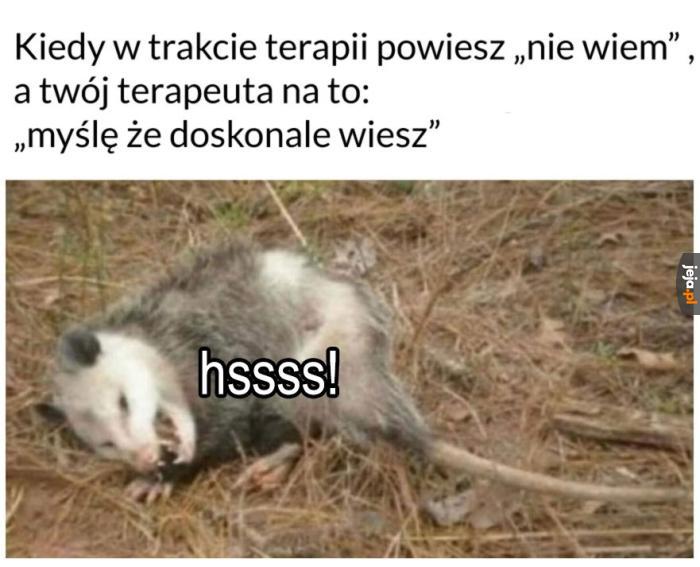 No dobra, może i wiem